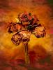  Alex Vignoli  Red Roses Bouquet 0207
