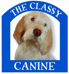 The Classy Canine
